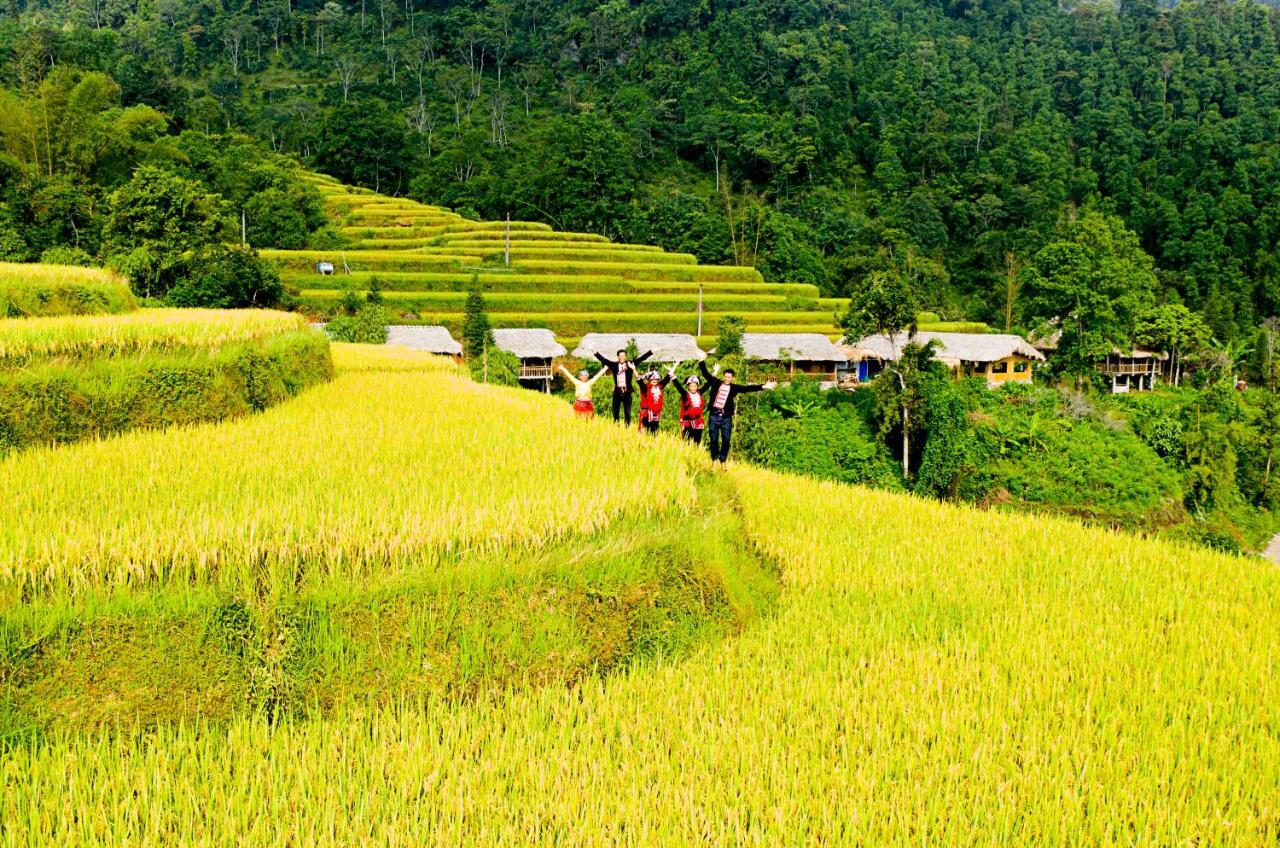 Dao Homestay Hoang Su Phi Extérieur photo