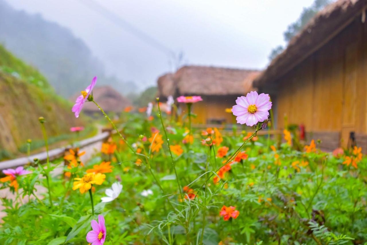 Dao Homestay Hoang Su Phi Extérieur photo